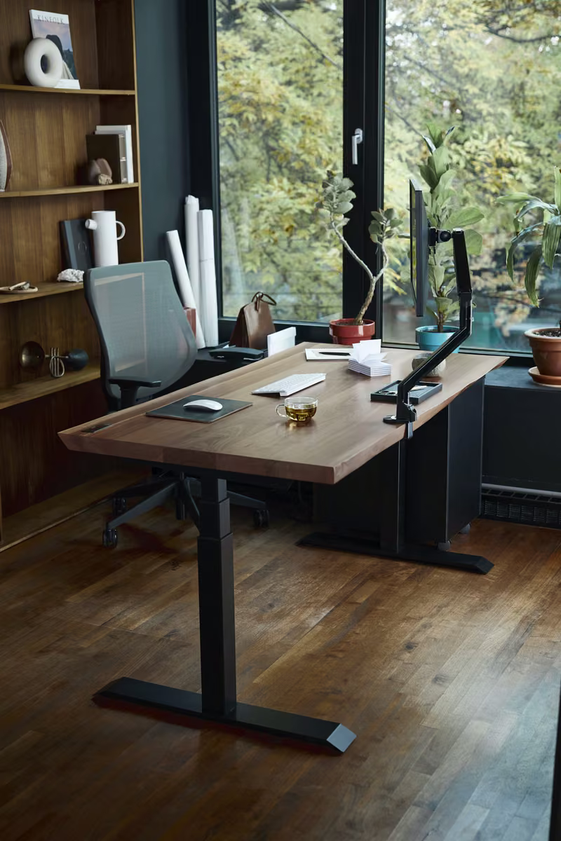 A calm workspace with a wooden desk, natural light, and greenery